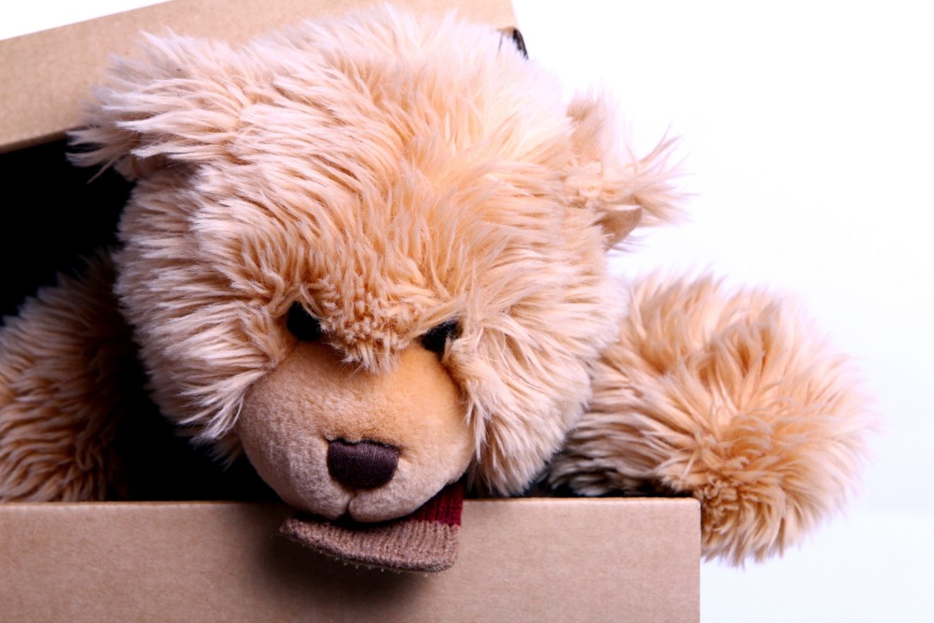 Cute Teddy Bear in the gift box