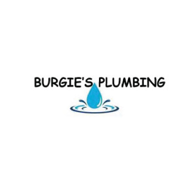 Burgie's Plumbing