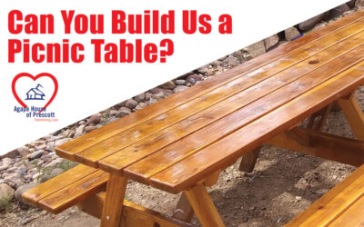 Can You Build Us a Picnic Table?