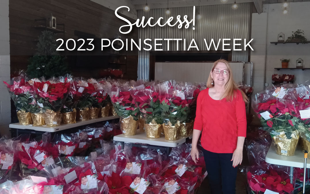 Successful Poinsettia Week