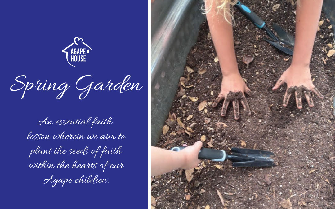 Planting Seeds – Life Lesson